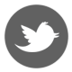 logo - Twitter